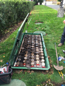 septic-tank-cleaning-auburn-wa