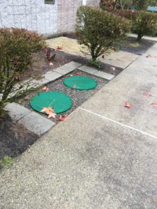 drain-field-repair-steilacoom-wa